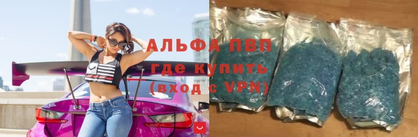 ПСИЛОЦИБИНОВЫЕ ГРИБЫ Няндома