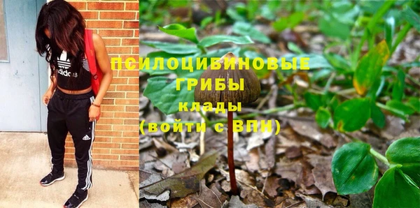 ПСИЛОЦИБИНОВЫЕ ГРИБЫ Няндома